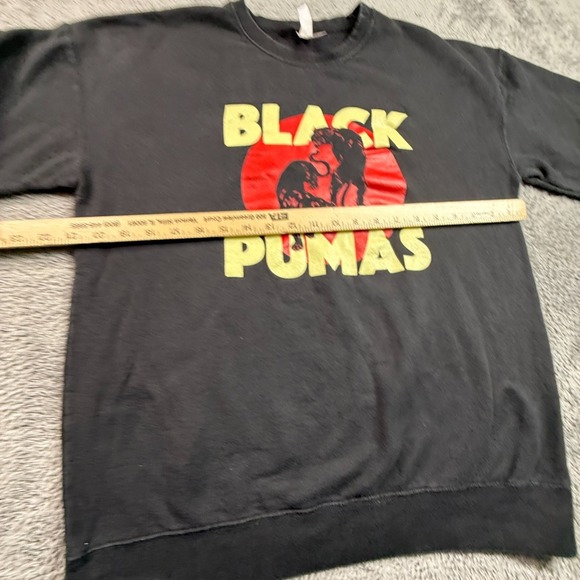 Black Pumas Band Sweatshirt M Gray Fleece Pullover Crewneck Music Tour Merch - Picture 2 of 6